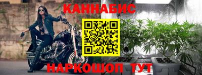 эйфоретик Кингисепп