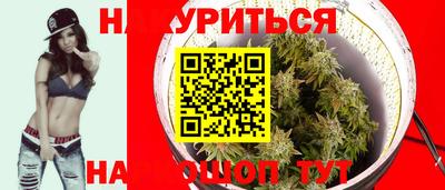 эйфоретик Кингисепп