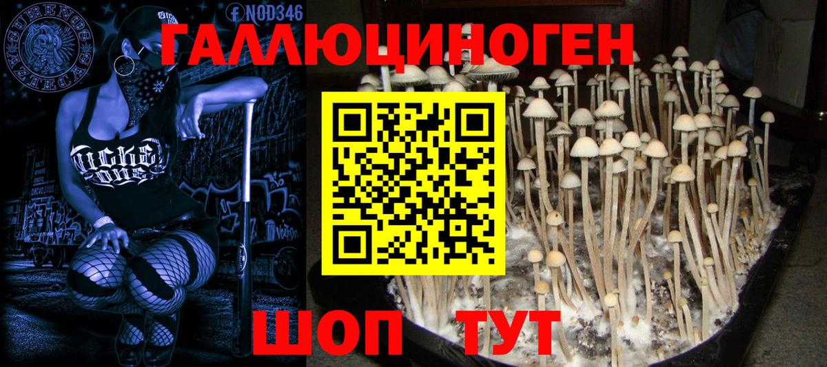 Псилоцибиновые грибы прущие грибы Кубинка